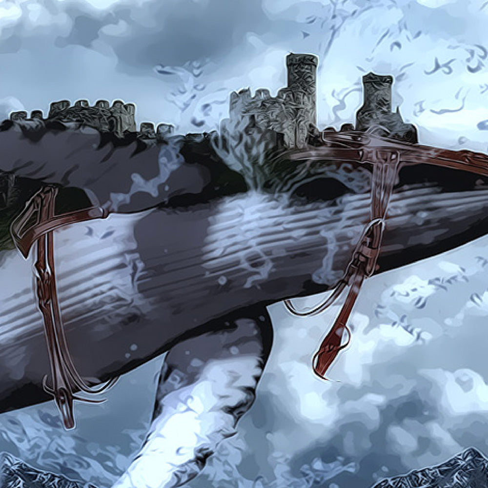 The County of the Whale