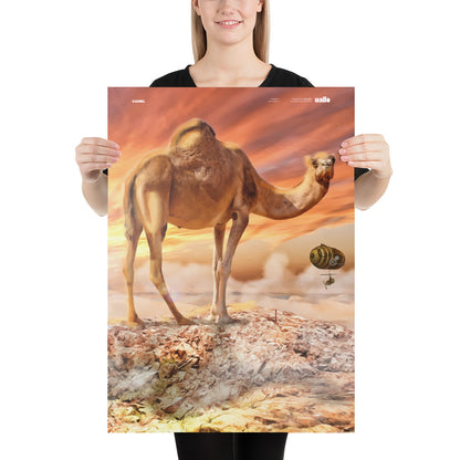 Camel