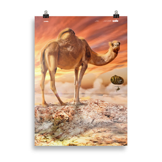 Camel