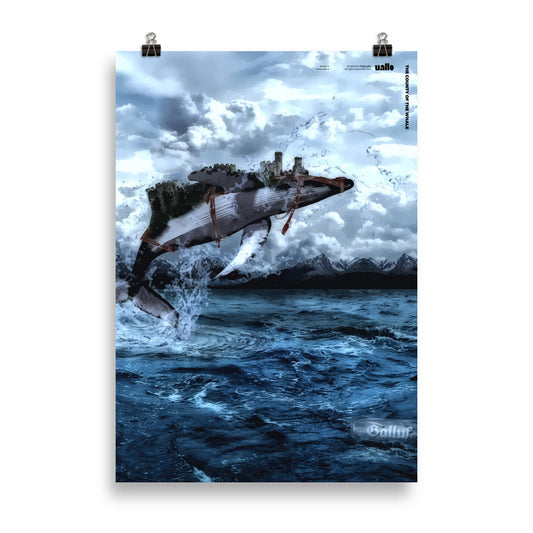 The County of the Whale